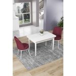 Canisa Concept Nil Serisi 70 x 110 cm Sabit Beyaz Mutfak Masa Takımı+2 Adet Sandalye