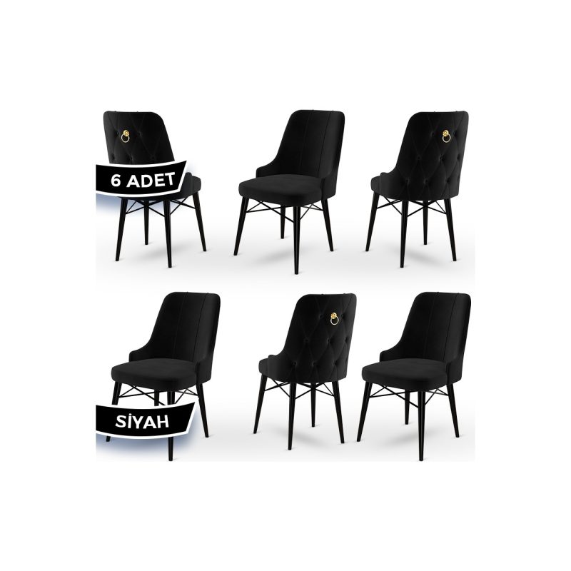 Canisa Concept Pare Serisi, Sandalye , 6 Adet Sandalye,  Gürgen Ayak