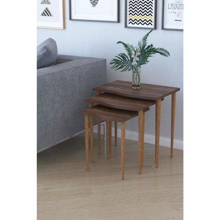 Remaks Bayrak 3’lü  Zigon Sehpa Çay Sehpası – Ceviz