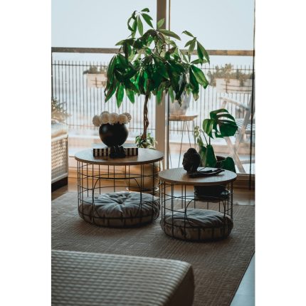 Uyan Ev Ürünleri Kedi Yuvalı Sepet Sehpa 2 Li Mdf Çok Amaçlı Zigon